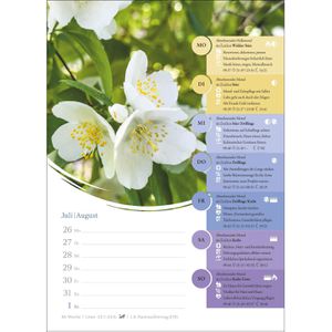Produktbild für Mondkalender Harenberg 3310228, Mond-Wochenkalender, Jahr 2027