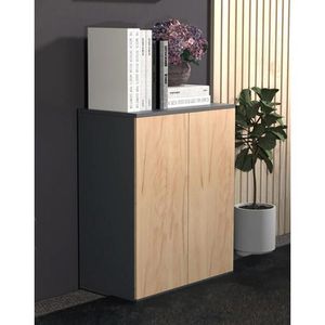 Produktbild für Aktenschrank VCM Dalosa 2-Fach 918321, aus Holz