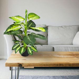 Produktbild für Kunstpflanze Decovego Dieffenbachie