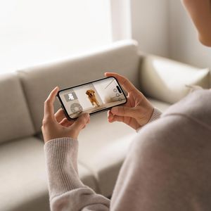 Produktbild für Saugroboter DJI Romo A, Roboter transparent, Station weiß