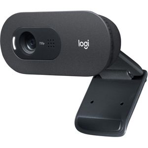 Webcam Logitech C505E HD 960-001372