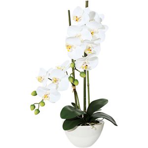 Kunstblume Creativ-green Orchidee, Phalaenopsis