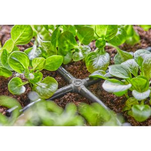 Produktbild für Micro-Drip-System Gardena Rohrverbinder Kreuzstück, 13214-20
