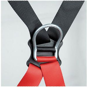 Produktbild für Sicherheitsgurt COFRA CERBERO, 2-Punkt-System