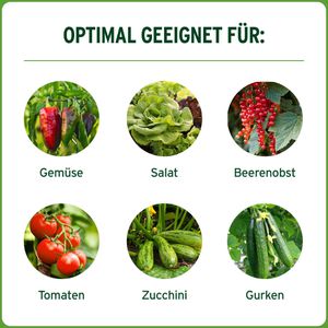 Produktbild für Dünger Substral Depotdünger für Obst &amp; Gemüse