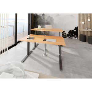 Produktbild für Schreibtisch Hammerbacher XDKB 16, buche / graphit