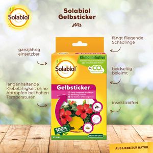 Produktbild für Gelbtafeln Solabiol Gelbsticker, 8 x 14 cm, zum Stecken