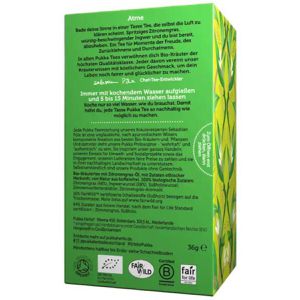 Produktbild für Tee Pukka Zitronengras &amp; Ingwer, BIO