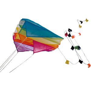 Produktbild für Lenkdrachen Günther 1172 Pink Parafoil