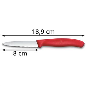 Produktbild für Gemüsemesser Victorinox Swiss Classic 6.7631.C1
