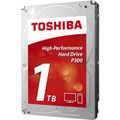 Festplatte Toshiba P300 HDWD110UZSVA