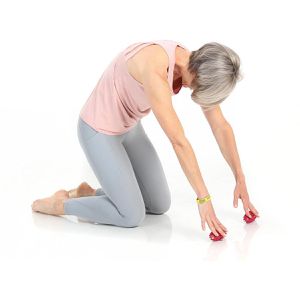Produktbild für Igelball Togu Tiefenmuskeltrainer Brasil Berry, 2-teiliges Set