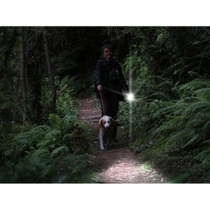 Produktbild für Taschenlampe Ansmann Adventure TA300BF, LED, mit Batterie