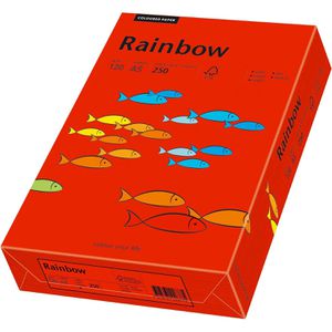 Produktbild für Kopierpapier Papyrus Rainbow 88373759
