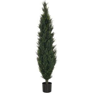 Produktbild für Kunstpflanze hJh-OFFICE Cedrus