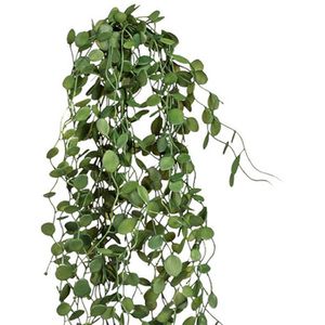 Produktbild für Kunstpflanze Creativ-green Mühlenbeckia-Hänger