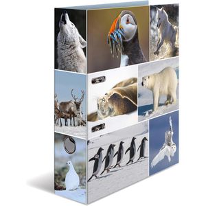 Herma Ordner 7204 Animals, Karton, A4, 7cm, Motiv Eiswelten