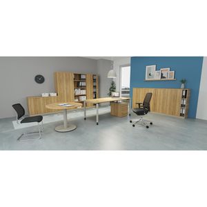 Produktbild für Aktenregal fm-Büromöbel endless, Holz