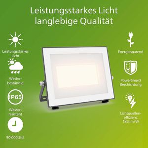 Produktbild für LED-Außenstrahler Philips Lois, IP65 wasserdicht