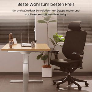 Produktbild für Schreibtisch FlexiSpot E5S, ahorn / grau