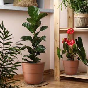 Produktbild für Pflanztopf Plastard Milano, 10 Liter