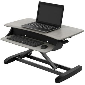 Produktbild für Schreibtischaufsatz Ergotron WorkFit-Z Mini, grau