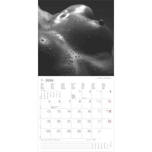 Produktbild für Erotikkalender Alpha 160187, Feminine, Jahr 2026