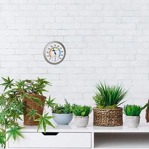 Produktbild für Thermo-Hygrometer TFA 45.2042.50, analog