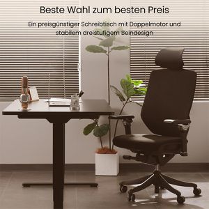 Produktbild für Schreibtisch FlexiSpot E5B, schwarz / schwarz