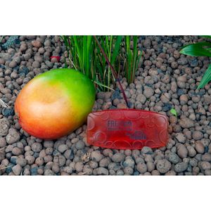 Produktbild für Raumduft FRE-PRO Bowl Clip, Mango
