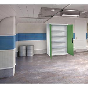 Produktbild für Werkzeugschrank CP-Möbel 8931-052, aus Metall, grau / grün