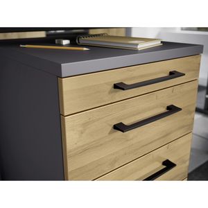 Produktbild für Aktenschrank Germania Profi 3.0, 4250-564 aus Holz