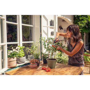 Produktbild für Gartenschere Gardena FreshCut 12212-36, Bypass, Set