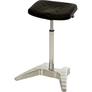 Produktbild für Stehhilfe Lotz 1000.01