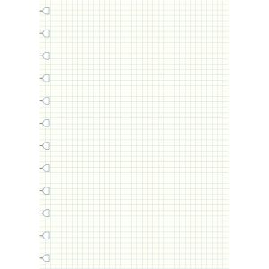 Produktbild für Ringbucheinlagen Filofax 162905, A4