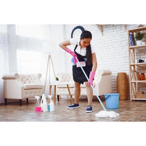 Produktbild für Allzweckreiniger BiOHY 100% vegan, nachhaltig