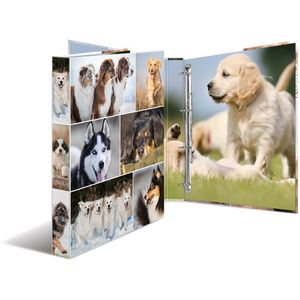 Produktbild für Ringbuch Herma 19358 Animals, A4