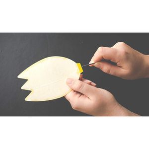 Produktbild für Gelbtafeln Substral Naturen, Set, zum Hängen und Stecken