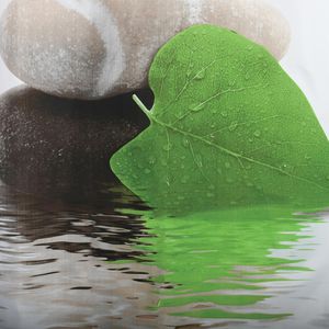 Produktbild für Duschvorhang MSV Anti-Schimmel Lingga, 180 x 200 cm