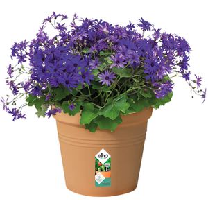 Produktbild für Pflanztopf elho Green Basics, 8,7 Liter