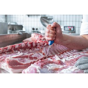 Produktbild für Ausbeinmesser F.DICK Ergo Grip 82982151