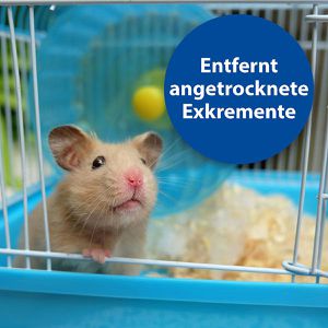Produktbild für Allzweckreiniger Bactazol Universalreiniger