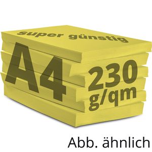 Produktbild für Kopierpapier Papyrus Rainbow 88376507