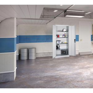 Produktbild für Werkzeugschrank CP-Möbel 8921-00, aus Metall, lichtgrau