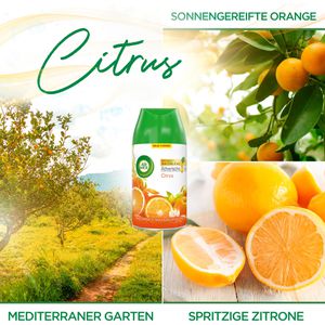 Produktbild für Raumduft Airwick Freshmatic Max, Duo, 2x 250ml