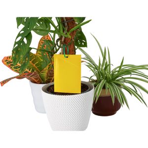 Produktbild für Gelbtafeln Elina-Clean 19397, 9 x 13 cm, zum Hängen