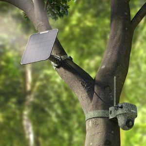 Produktbild für Wildkamera Reolink Go Series G450 SP2 LTE 4G