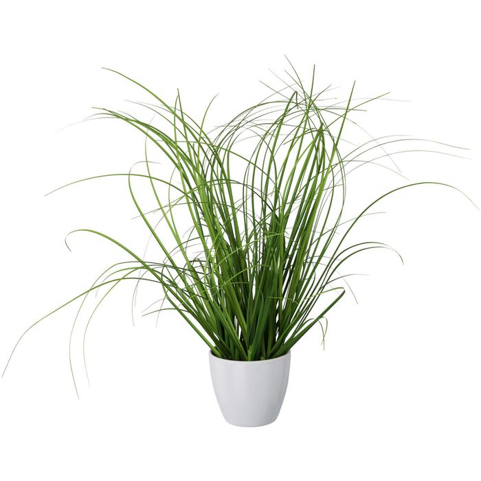 Creativ-green Kunstpflanze Höhe cm, Topf, 3 weißen 40 Stück Böttcher Kunstgras, im AG –