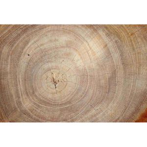 Magnettafel ALLboards MetalBoards, Baumstamm