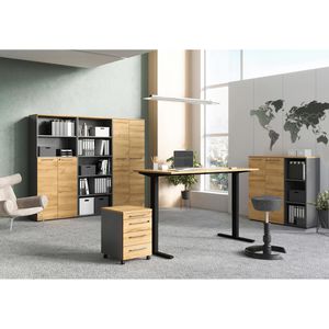 Produktbild für Aktenregal Germania Agenda 4230-564, aus Holz